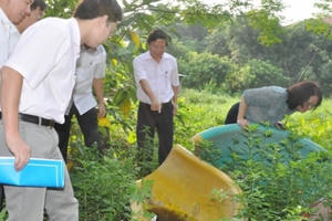 Hà Nội: Triển khai các biện pháp phòng, chống bệnh do Virus Zika