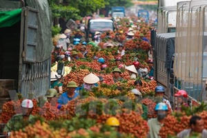 Quốc lộ 31 tắc nghẽn vì thương lái mua vải