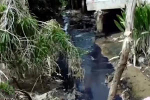 Vĩnh Long: Dân kêu trời vì con rạch bốc mùi hôi thối