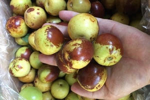 Ngon mắt, sướng mồm: 5 loại quả đích thị hàng Tàu vẫn mua