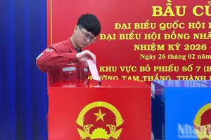 Cử tri cần chú ý thông tin này trước ngày bầu cử