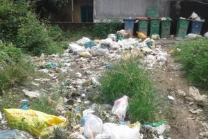 Lâm Đồng: Người dân khổ sở với bãi rác sau chợ