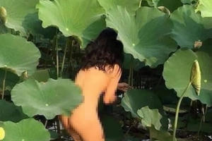 Điểm tin Thế giới Văn hoá: Chụp ảnh khoả thân ở đầm sen không phải là nghệ thuật!