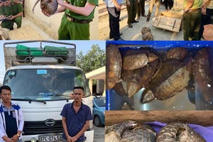 Thanh Hóa: Bắt giữ vụ vận chuyển trái phép 1,5 tạ tê tê, rùa hoang dã