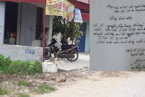 An Lão, Hải Phòng: Hàng nghìn mét vuông đất bị phân lô, bán nền trái phép?