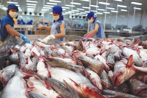 Xuất khẩu thuỷ sản chạm mốc 8 tỷ USD Xuất khẩu thuỷ sản chạm mốc 8 tỷ USD