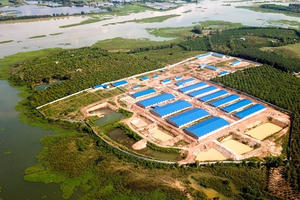 Trang trại heo xây trái phép ở hồ Trị An: Bị buộc tháo dỡ