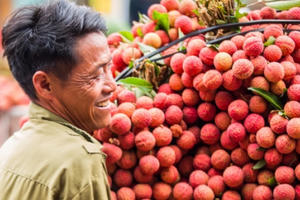 Tin kinh tế 6AM: Việt Nam xuất khẩu 100 tấn vải thiều sang Australia