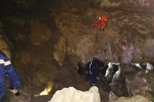 Đi chặt luồng, 1 người bị ngã xuống hang sâu mất tích Đi chặt luồng, 1 người bị ngã xuống hang sâu mất tích