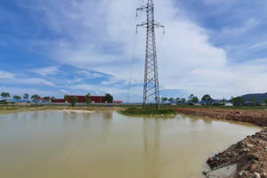 Nghệ An: Chây ì khắc phục vi phạm tại Dự án nông nghiệp chất lượng cao ở huyện Nghi Lộc