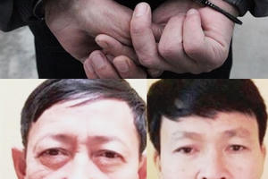 Hải Phòng: Bắt tạm giam hai cựu chủ tịch xã liên quan đến sai phạm đất đai