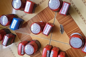 Lập hàng chục công ty “ma” mua bán hóa đơn