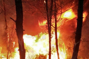 Lửa đỏ rực bao trùm trăm ha rừng, cả ngàn người trắng đêm cứu rừng