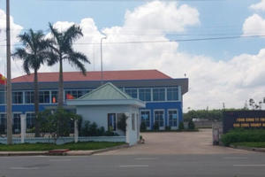 Vụ công ty Tín Nghĩa chặt hạ 10 ha tràm của dân: Bộ Tài nguyên và Môi trường đang kiểm tra, làm rõ