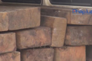 Ngụy trang là xe tang để chở hàng chục phách gỗ lậu