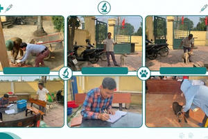 Hà Nội ghi nhận 2 ổ dịch dại trên chó