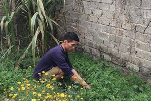 Đông Anh, Hà Nội: Vào tù vì tranh chấp đất ruộng