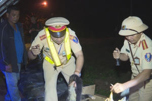 Liên tiếp phát hiện xe khách chở thú rừng ở Đắk Lắk Liên tiếp phát hiện xe khách chở thú rừng ở Đắk Lắk