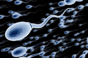 Tại sao nam giới ngày càng yếu?