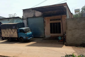 Bình Phước: Xuất hiện đối tượng có dấu hiệu lừa gạt mua hạt điều tiền tỷ khiến nông dân khốn đốn