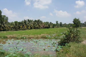 Đồng Nai: Dân kêu cứu vì dự án của Công ty Tín Nghĩa “treo” 10 năm