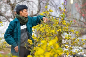 Tin kinh tế 6AM: Thưởng Tết 2020, người nhận 3,5 tỷ, người chỉ vài chục ngàn đồng