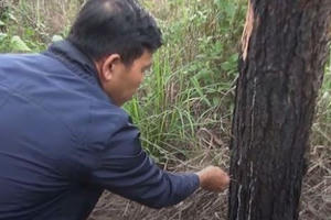 Chung tay ngăn chặn cái ác