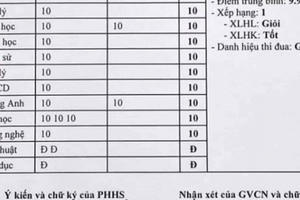 Nam sinh gây "choáng" với bảng điểm nhìn đâu cũng... 10