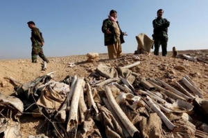 IS điên cuồng sát hại tộc người Yazidis