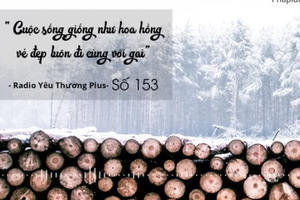Radio Yêu thương Plus số 153: Cho ngày hôm nay