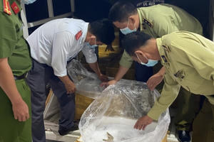 Chưa tìm thấy chủ sở hữu 300 kg tôm chứa tạp chất tại Kiên Giang