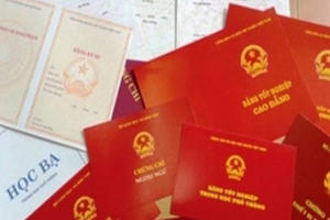 Sử dụng bằng giả bị xử lý như thế nào?