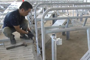 Đồng Nai: Tháo dỡ trại heo “khủng” xây dựng trái phép bên hồ Trị An