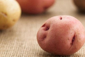 Cô gái nhét khoai tây vào “phần kín” để... tránh thai