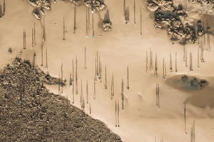 Việt Nam trong những bức ảnh xuất sắc nhất năm 2020