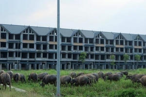 Địa ốc Plus 24h: Siêu cao tầng dày đặc trong phố, biệt thự tiền tỷ thành nơi nuôi thả trâu bò