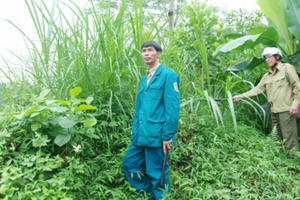 Yên Bái: Thanh niên 9x manh động giết người rồi bỏ trốn vào rừng sâu