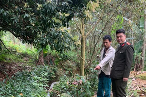 Xử phạt 107 triệu đồng cơ sở chăn nuôi gây ô nhiễm môi trường ở Phú Thọ