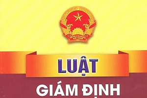 Hà Nội ban hành Kế hoạch triển khai thi hành Luật Giám định tư pháp