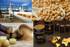 Biến động tại eo biển Hormuz đẩy giá dầu vượt 100 USD/thùng