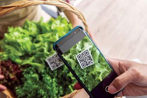 Chuẩn hóa dữ liệu truy xuất nguồn gốc nông sản xuất khẩu