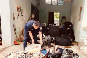 Hải quan kịp thời ngăn chặn hơn 1,8 tấn thực phẩm nhập lậu tại các cửa khẩu biên giới phía Bắc