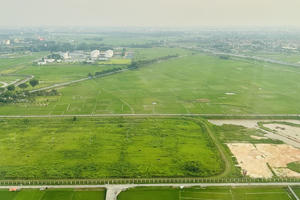 Quy định mới về miễn, giảm tiền thuê đất, nhiều trường hợp được đơn giản hóa hồ sơ