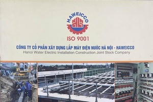 Không công bố thông tin, Xây dựng lắp máy điện nước Hà Nội Haweicco bị xử phạt