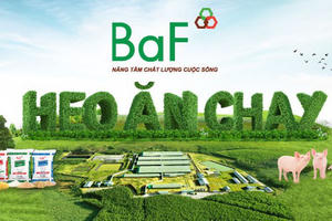 Nông nghiệp BaF (BAF): Thay 'tướng' tài chính 9x, lên kế hoạch lãi kỷ lục nghìn tỷ đồng