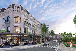Đà Nẵng giao và cho thuê hơn 52.500 m² đất làm dự án Khu đô thị Tây Bắc