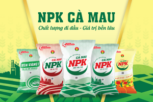 Đạm Cà Mau (DCM) đặt mục tiêu lãi sau thuế năm 2026 'đi lùi', dự chia cổ tức tỷ lệ 20%