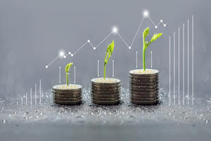 Danh mục 5 cổ phiếu 'sạch nợ vay', dự kiến chi trả cổ tức vượt mức 10% năm 2026