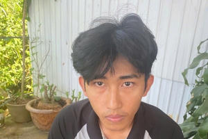 Bắt quả tang đối tượng chặn xe ô tô, đập phá tài sản trên quốc lộ 20