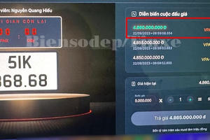 Chuyển nhượng biển số đẹp, tài sản số, tên miền sẽ chịu mức thuế như thế nào?